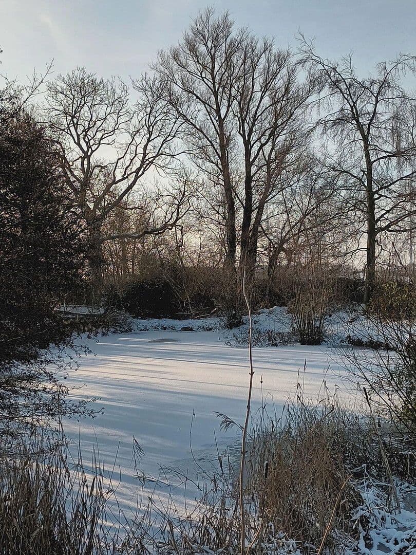 Predaj domu 159 m², pozemek 3.000 m², Neustadt in Holstein, Šlezvicko-Holštajnsko Predaj domu 159 m², pozemek 3.000 m², Neustadt in Holstein, Šlezvicko-Holštajnsko