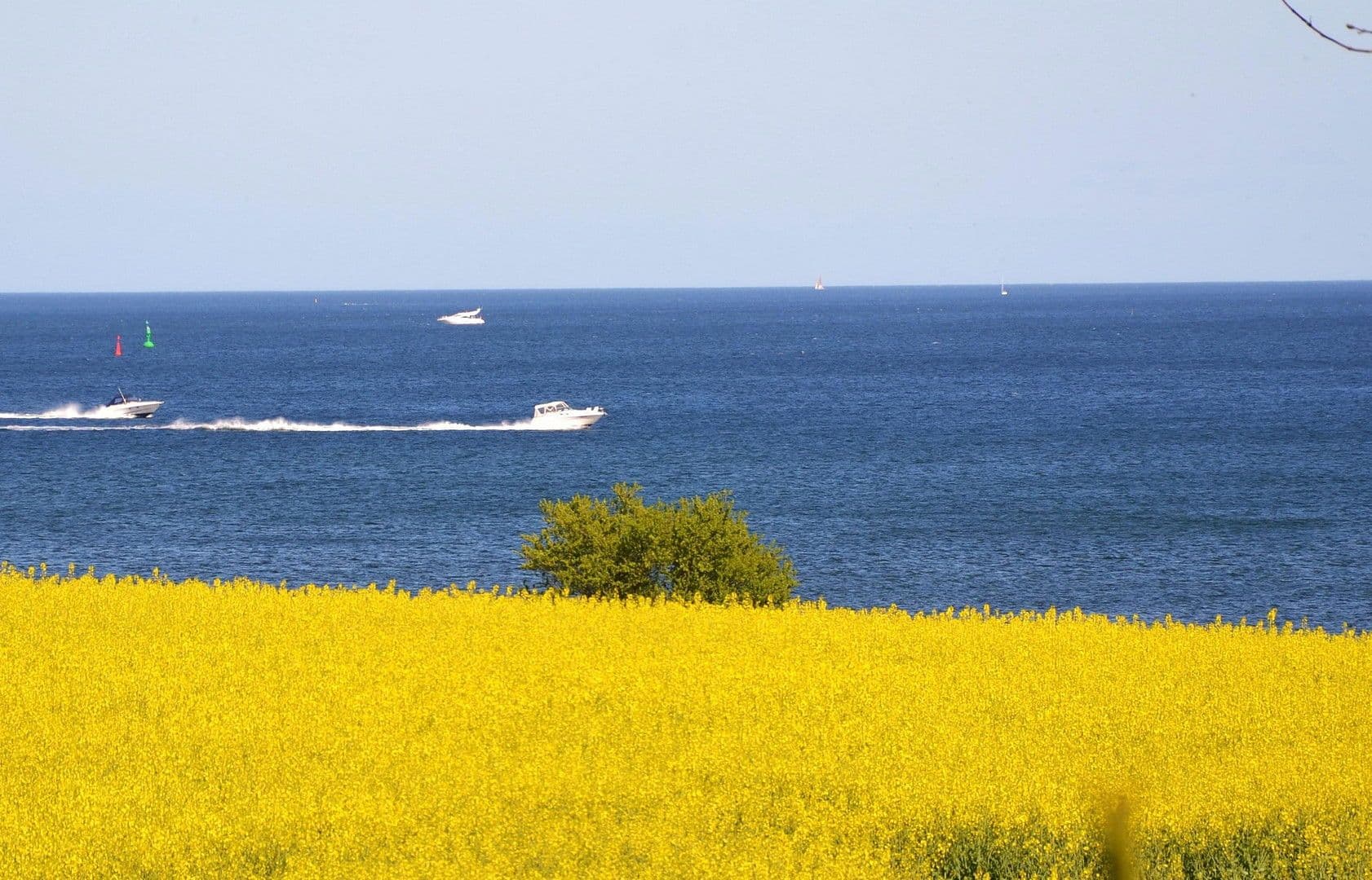 Predaj domu 70 m², pozemek 476 m², Brodersby, Šlezvicko-Holštajnsko Predaj domu 70 m², pozemek 476 m², Brodersby, Šlezvicko-Holštajnsko