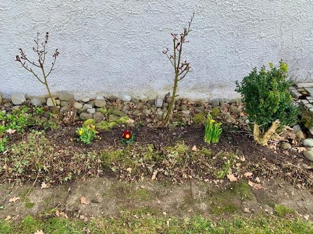 Predaj domu 190 m², pozemek 1.374 m², Reutlingen, Bádensko-Wurttembersko Predaj domu 190 m², pozemek 1.374 m², Reutlingen, Bádensko-Wurttembersko