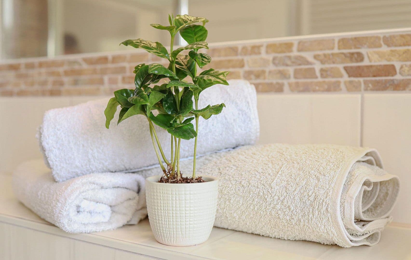 Predaj domu 144 m², pozemek 1.119 m², Schwielowsee, Brandenbursko Predaj domu 144 m², pozemek 1.119 m², Schwielowsee, Brandenbursko