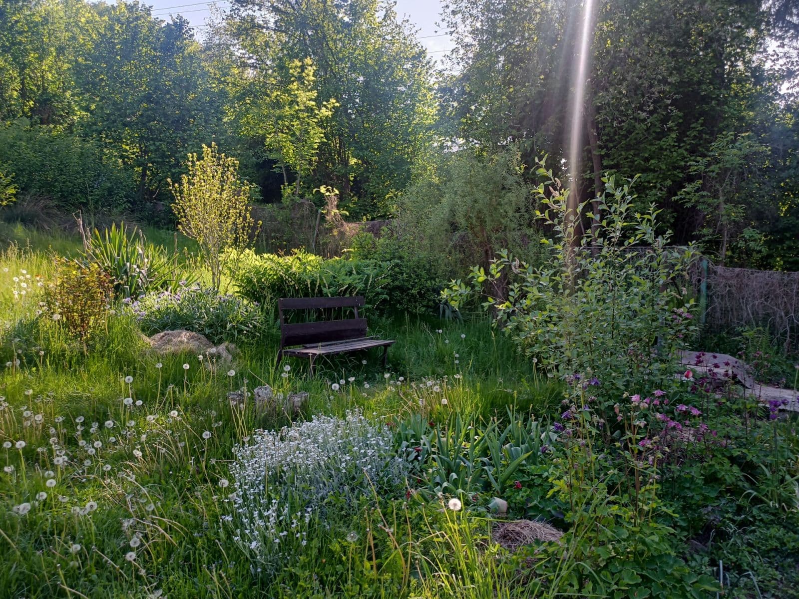 Prenájom bytu 1-izbový 43 m², U Vápenice, Praha, Praha Prenájom bytu 1-izbový 43 m², U Vápenice, Praha, Praha