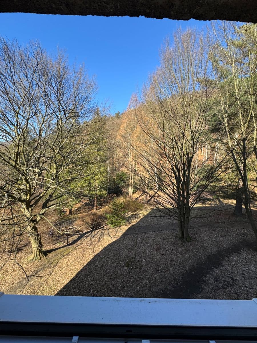 Prenájom bytu 3-izbový 90 m², Stoliční, Děčín, Ústecký kraj Prenájom bytu 3-izbový 90 m², Stoliční, Děčín, Ústecký kraj