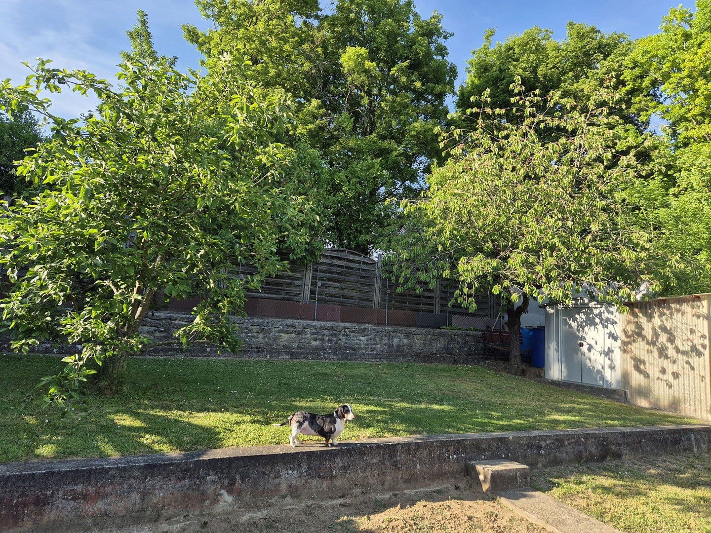 Predaj domu 183 m², pozemek 836 m², Adelsheim, Bádensko-Wurttembersko Predaj domu 183 m², pozemek 836 m², Adelsheim, Bádensko-Wurttembersko