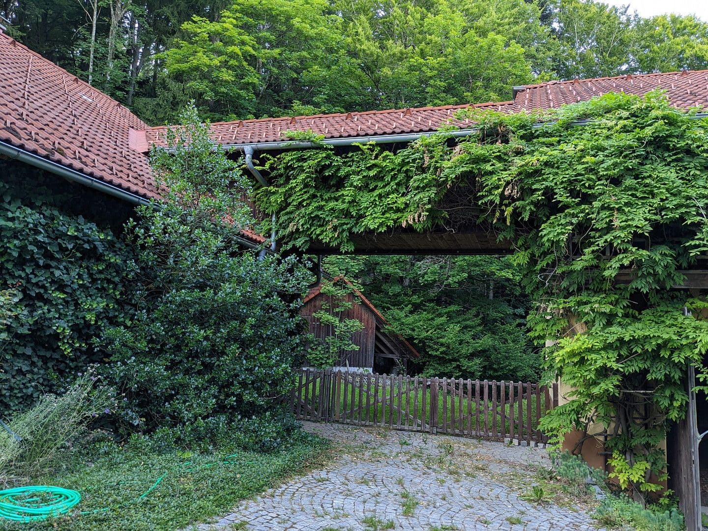 Predaj domu 255 m², pozemek 12.000 m², Klaffer am Hochficht, Horné Rakúsko Predaj domu 255 m², pozemek 12.000 m², Klaffer am Hochficht, Horné Rakúsko