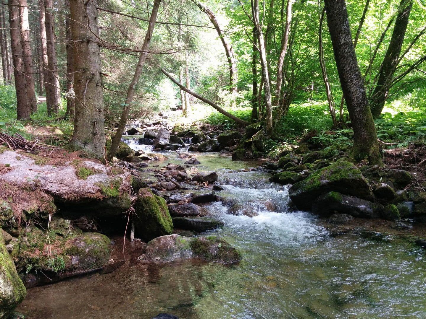 Predaj domu 255 m², pozemek 12.000 m², Klaffer am Hochficht, Horné Rakúsko Predaj domu 255 m², pozemek 12.000 m², Klaffer am Hochficht, Horné Rakúsko