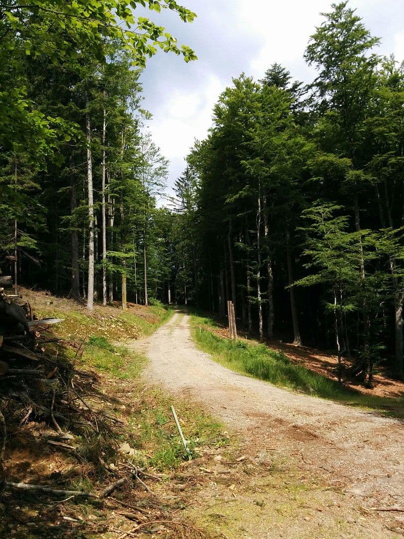 Predaj domu 255 m², pozemek 12.000 m², Klaffer am Hochficht, Horné Rakúsko Predaj domu 255 m², pozemek 12.000 m², Klaffer am Hochficht, Horné Rakúsko