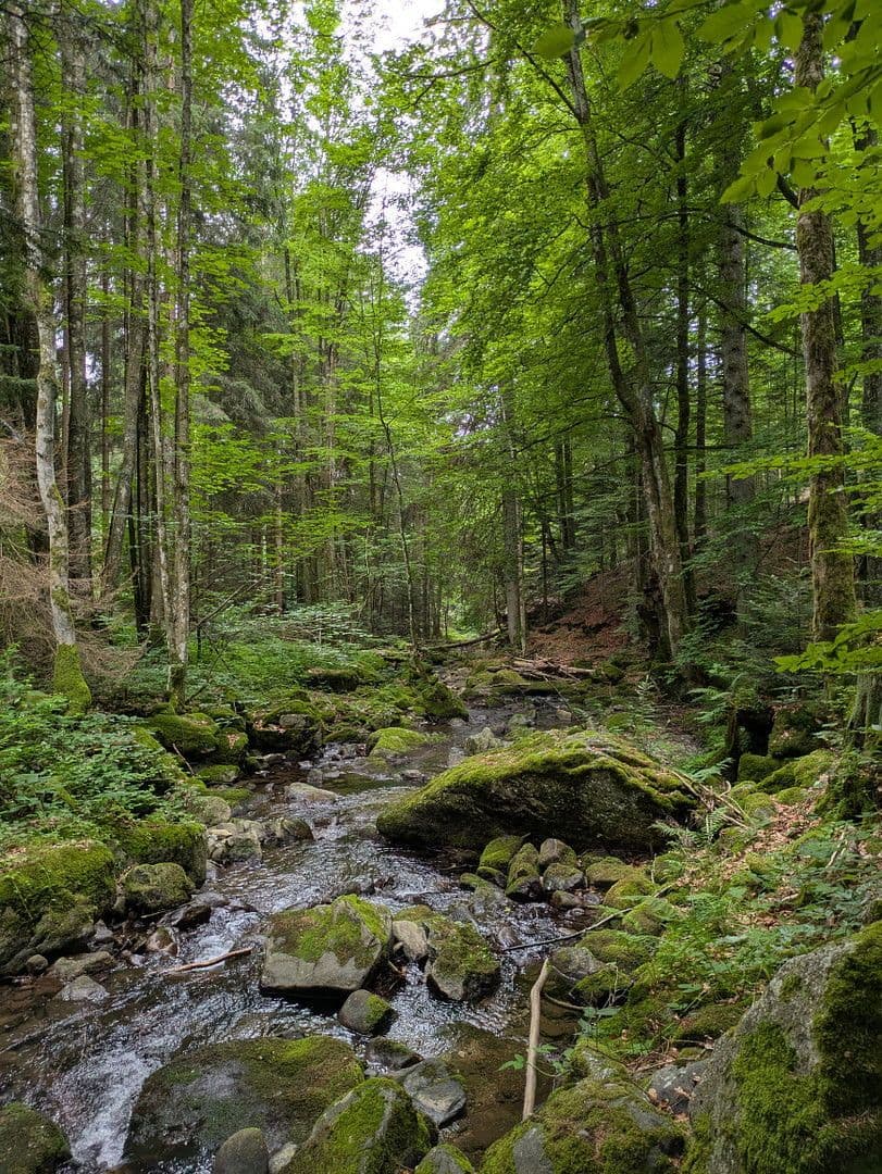 Predaj domu 255 m², pozemek 12.000 m², Klaffer am Hochficht, Horné Rakúsko Predaj domu 255 m², pozemek 12.000 m², Klaffer am Hochficht, Horné Rakúsko