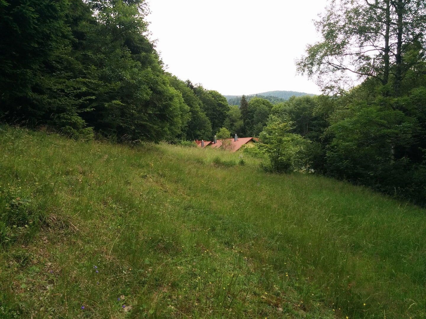 Predaj domu 255 m², pozemek 12.000 m², Klaffer am Hochficht, Horné Rakúsko Predaj domu 255 m², pozemek 12.000 m², Klaffer am Hochficht, Horné Rakúsko