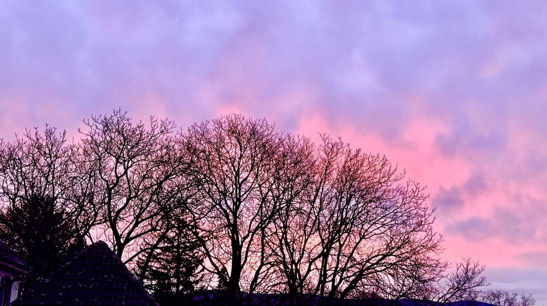 Predaj bytu 4-izbový 150 m², Schallstadt, Bádensko-Wurttembersko Predaj bytu 4-izbový 150 m², Schallstadt, Bádensko-Wurttembersko