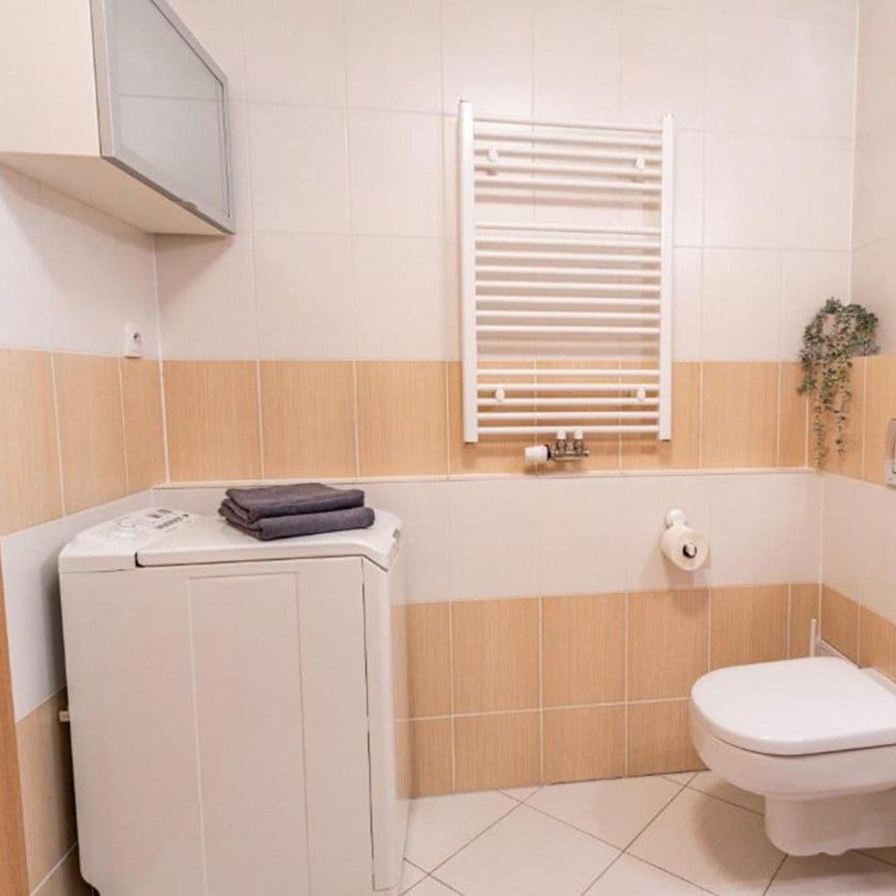 Prenájom bytu 1-izbový 59 m², Žitná, Hostivice, Středočeský kraj Prenájom bytu 1-izbový 59 m², Žitná, Hostivice, Středočeský kraj