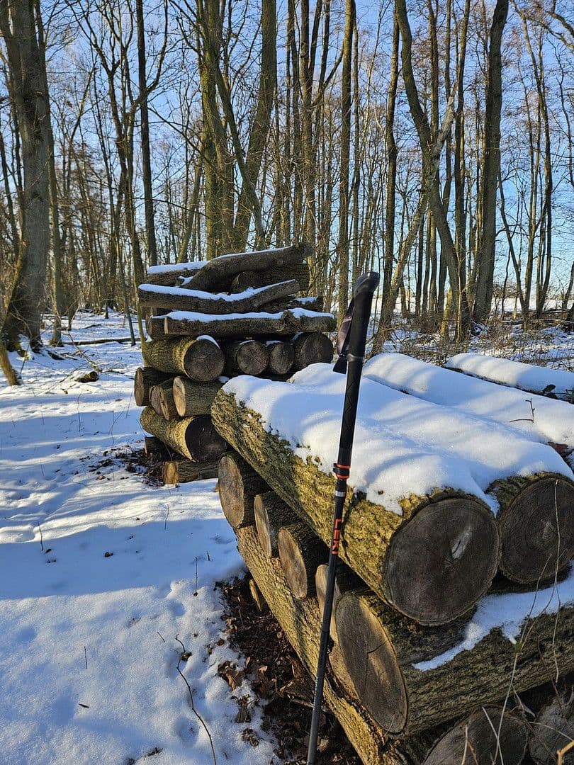 Predaj domu 285 m², pozemek 32.000 m², Dobin am See, Meklenbursko-Predpomoransko Predaj domu 285 m², pozemek 32.000 m², Dobin am See, Meklenbursko-Predpomoransko