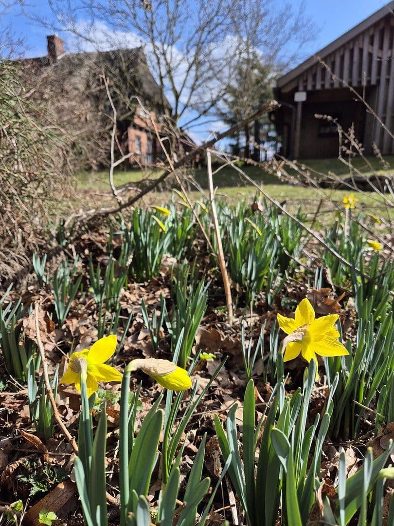 Predaj domu 285 m², pozemek 32.000 m², Dobin am See, Meklenbursko-Predpomoransko Predaj domu 285 m², pozemek 32.000 m², Dobin am See, Meklenbursko-Predpomoransko