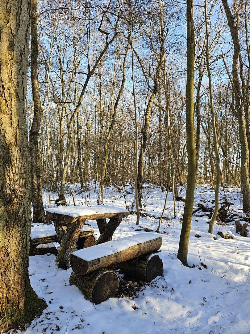 Predaj domu 285 m², pozemek 32.000 m², Dobin am See, Meklenbursko-Predpomoransko Predaj domu 285 m², pozemek 32.000 m², Dobin am See, Meklenbursko-Predpomoransko