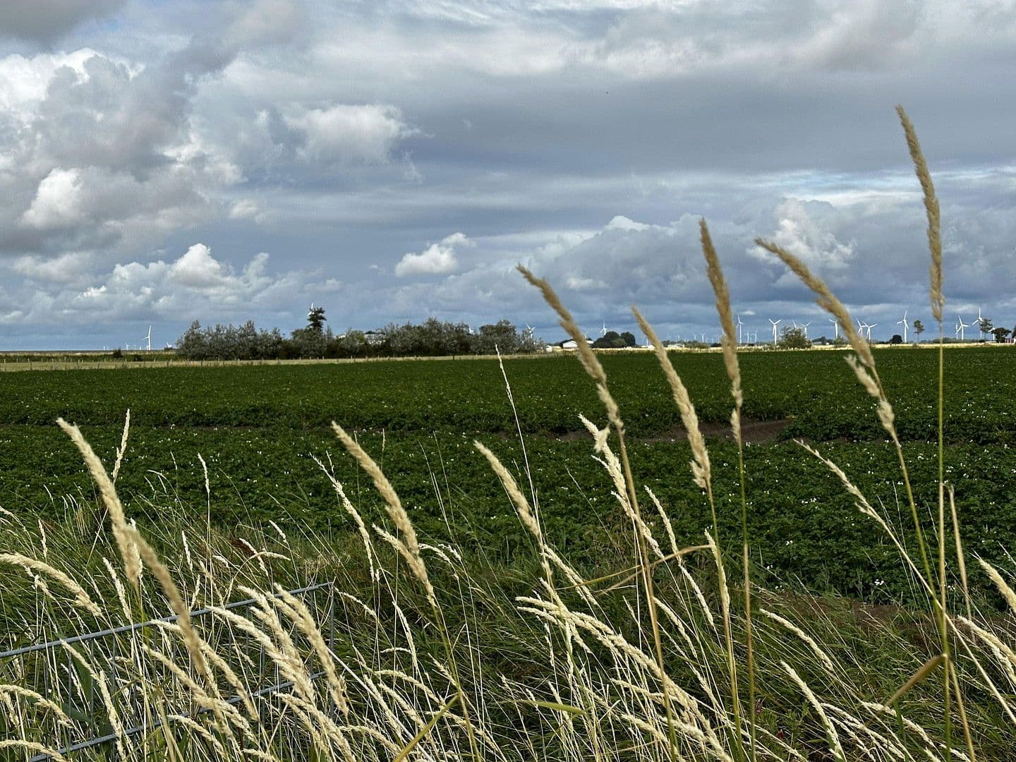 Predaj domu 76 m², pozemek 492 m², Wesselburenerkoog, Šlezvicko-Holštajnsko Predaj domu 76 m², pozemek 492 m², Wesselburenerkoog, Šlezvicko-Holštajnsko