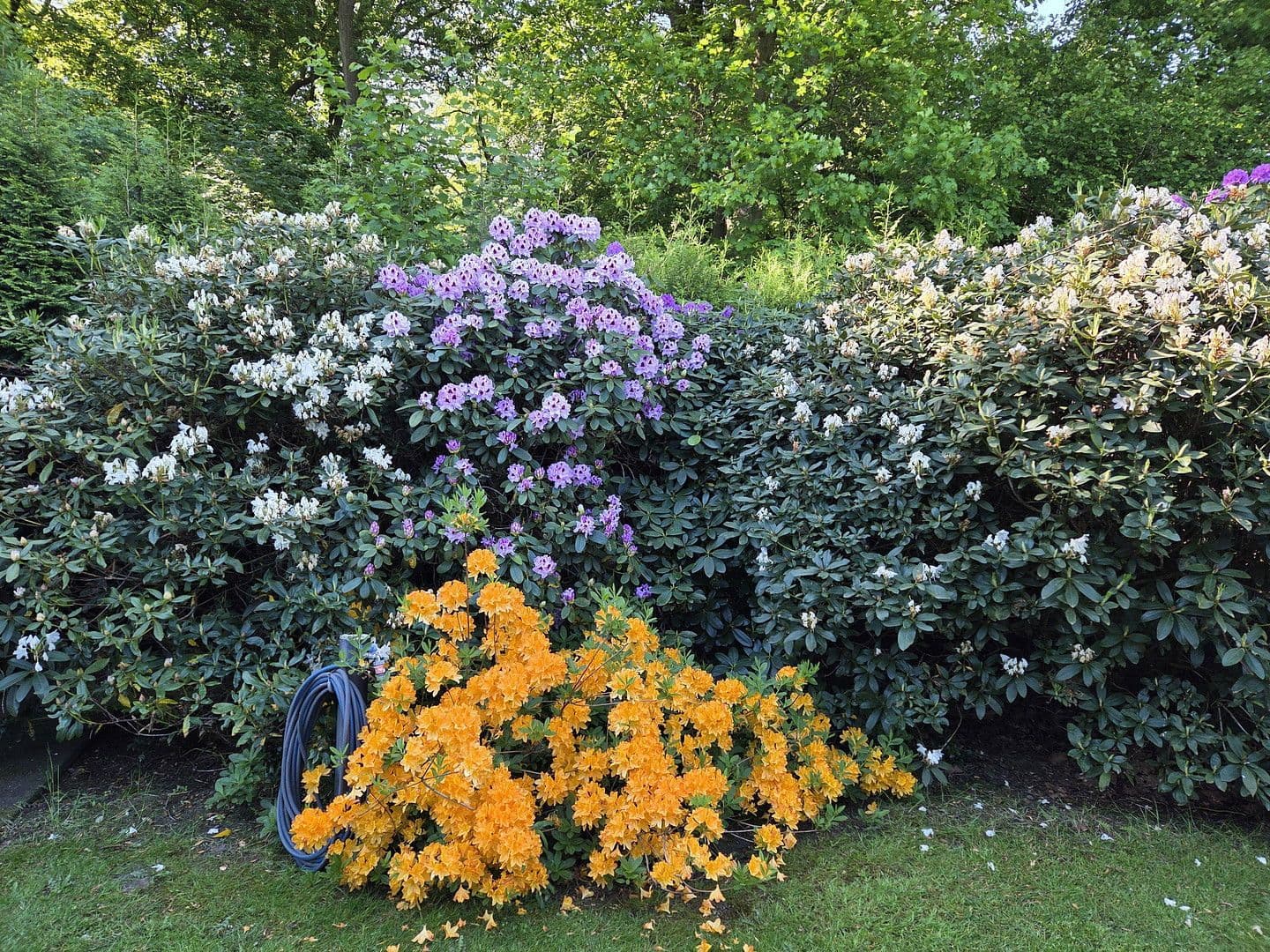 Predaj domu 273 m², pozemek 1.784 m², August-Schmidt-Straße 6, Gladbeck, Severné Porýnie - Westfálsko Predaj domu 273 m², pozemek 1.784 m², August-Schmidt-Straße 6, Gladbeck, Severné Porýnie - Westfálsko