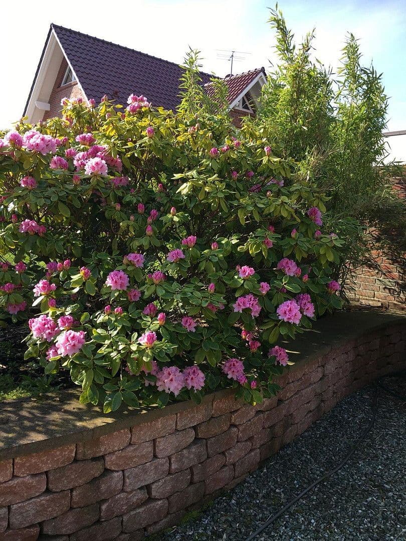 Predaj domu 170 m², pozemek 745 m², Grömitz, Šlezvicko-Holštajnsko Predaj domu 170 m², pozemek 745 m², Grömitz, Šlezvicko-Holštajnsko