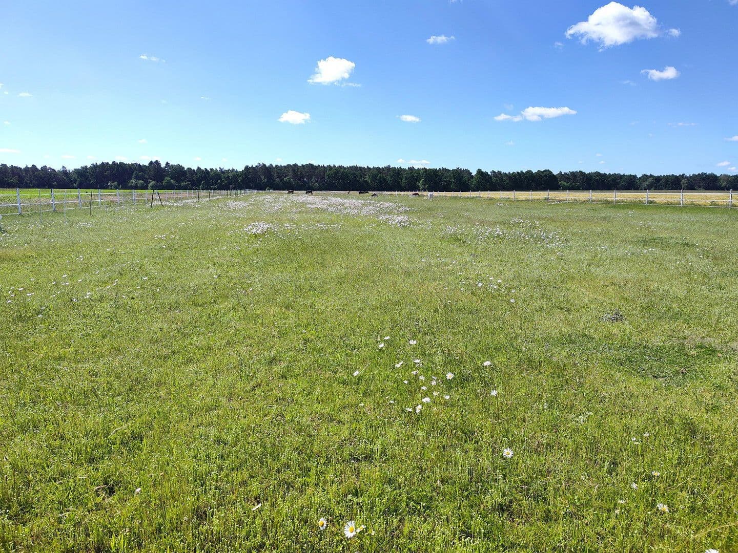 Predaj pozemku 200 m², Langer Hagen 16, Dedelstorf, Dolné Sasko Predaj pozemku 200 m², Langer Hagen 16, Dedelstorf, Dolné Sasko