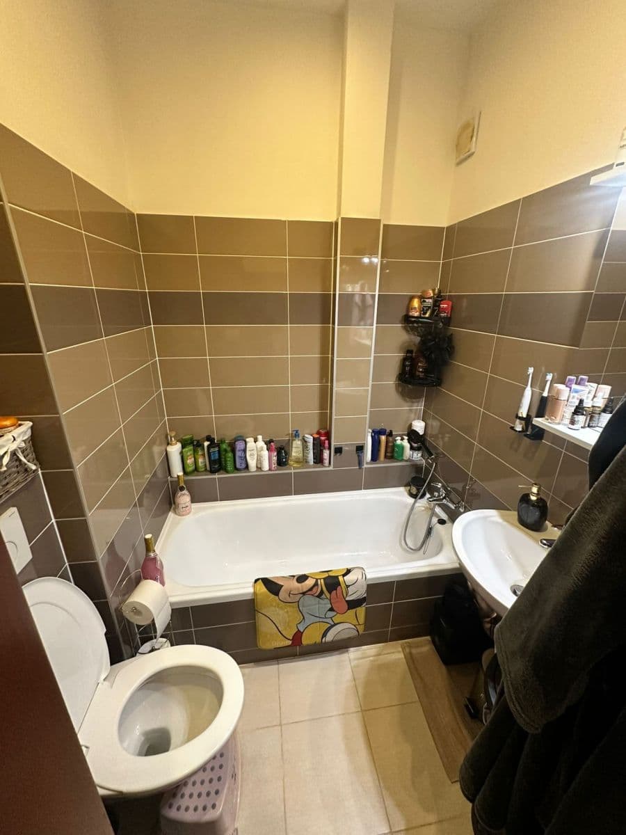 Prenájom bytu 1-izbový 38 m², Strakatého, Brno, Jihomoravský kraj Prenájom bytu 1-izbový 38 m², Strakatého, Brno, Jihomoravský kraj