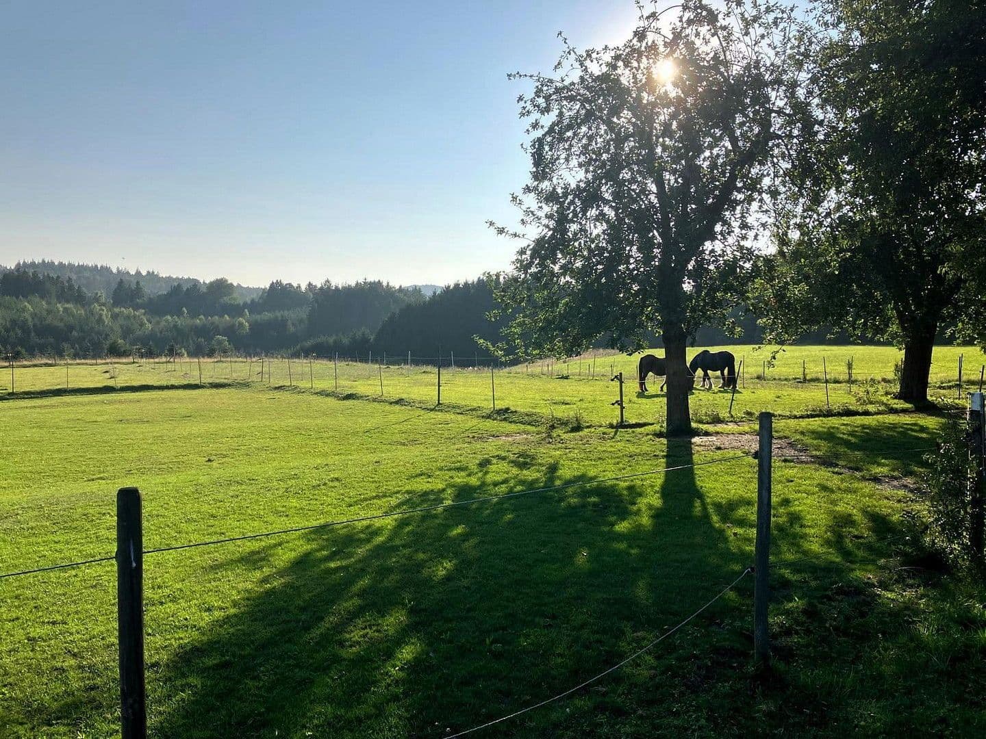 Predaj domu 129 m², pozemek 4.804 m², Wüstenrot, Bádensko-Wurttembersko Predaj domu 129 m², pozemek 4.804 m², Wüstenrot, Bádensko-Wurttembersko