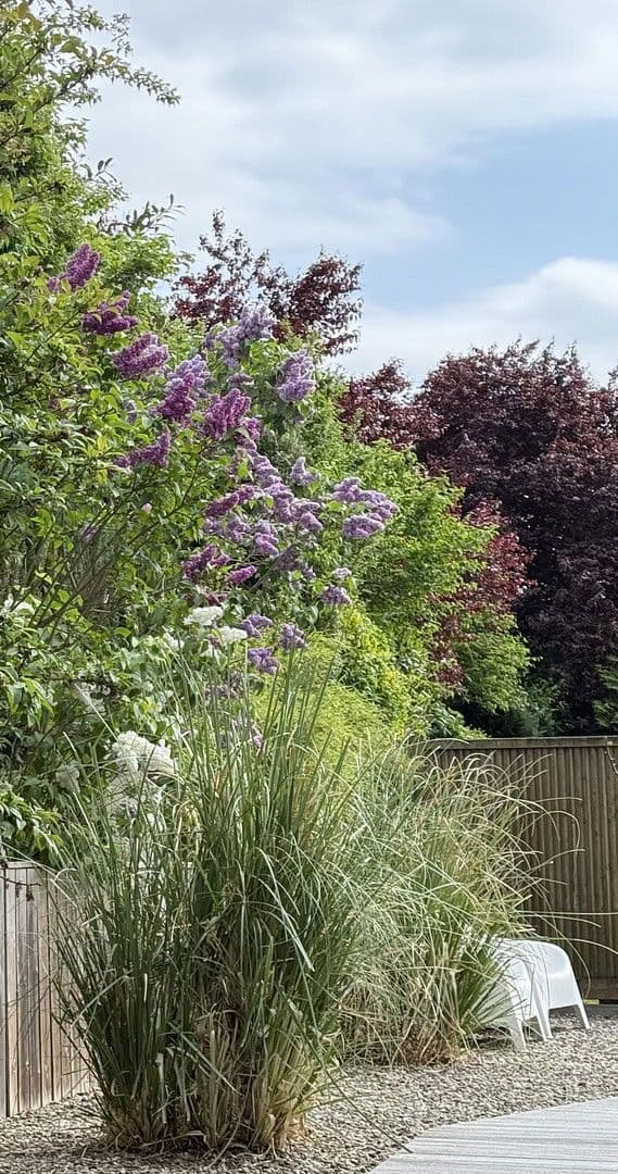 Predaj domu 170 m², pozemek 600 m², Gehrden, Dolné Sasko Predaj domu 170 m², pozemek 600 m², Gehrden, Dolné Sasko