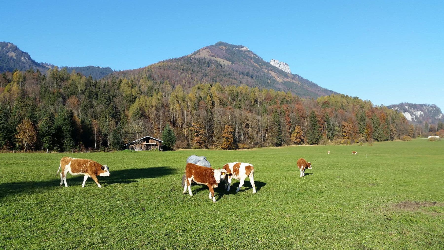 Predaj domu 57 m², pozemek 400 m², Schleching, Bavorsko Predaj domu 57 m², pozemek 400 m², Schleching, Bavorsko