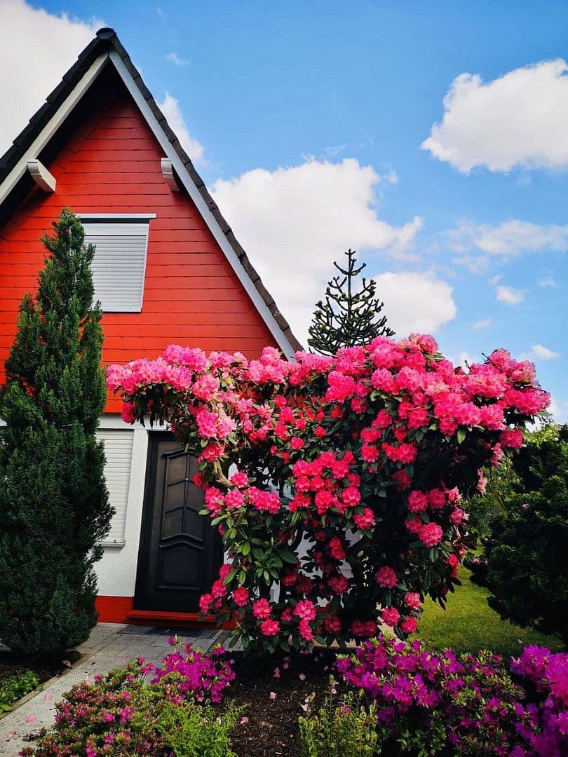 Predaj domu 58 m², pozemek 509 m², Mengerskirchen, Hesensko Predaj domu 58 m², pozemek 509 m², Mengerskirchen, Hesensko