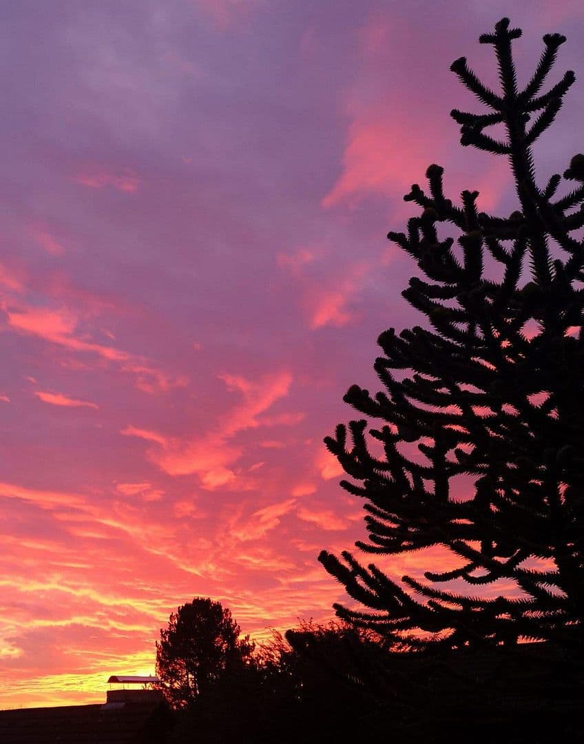 Predaj domu 58 m², pozemek 509 m², Mengerskirchen, Hesensko Predaj domu 58 m², pozemek 509 m², Mengerskirchen, Hesensko