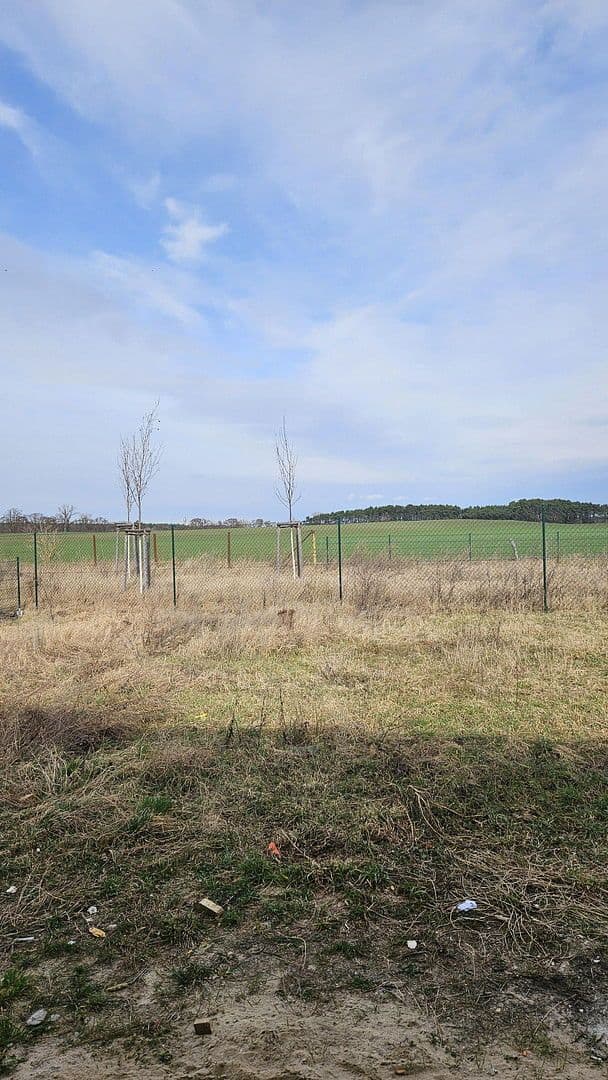 Prenájom domu 131 m², pozemek 820 m², Zossen, Brandenbursko Prenájom domu 131 m², pozemek 820 m², Zossen, Brandenbursko