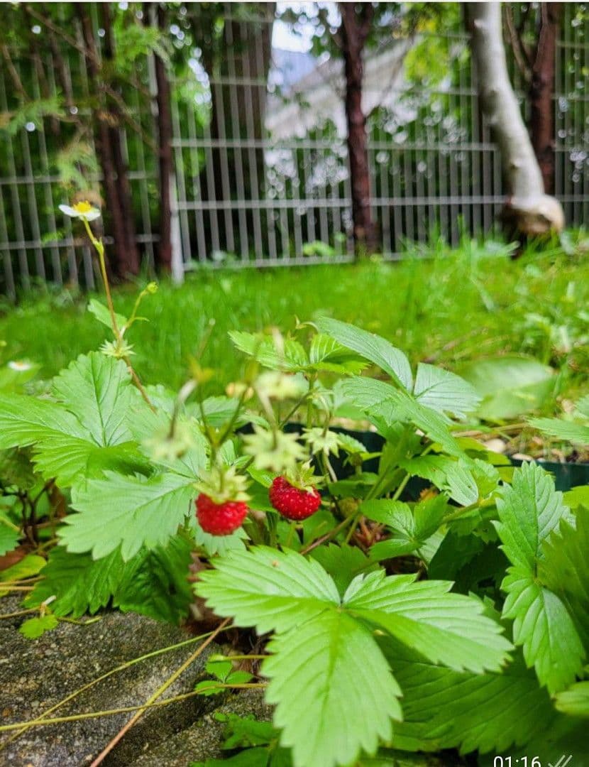 Prenájom bytu 4-izbový 90 m², München, Bavorsko Prenájom bytu 4-izbový 90 m², München, Bavorsko