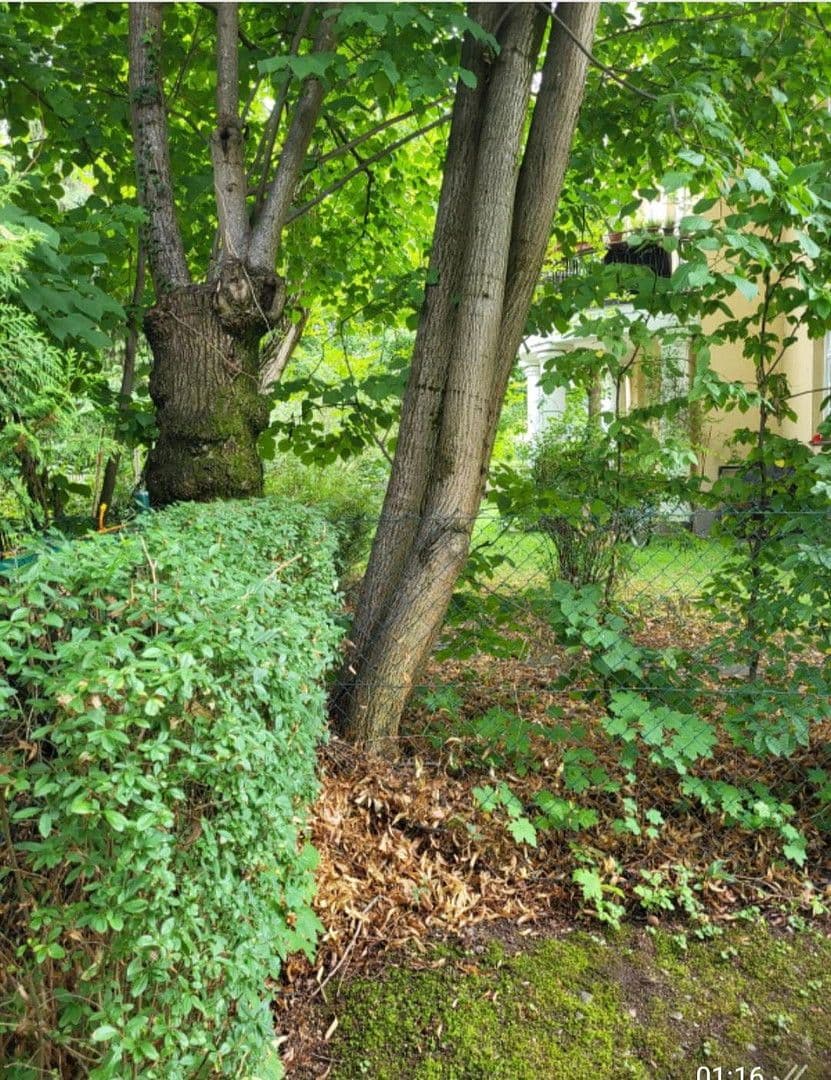 Prenájom bytu 4-izbový 90 m², München, Bavorsko Prenájom bytu 4-izbový 90 m², München, Bavorsko