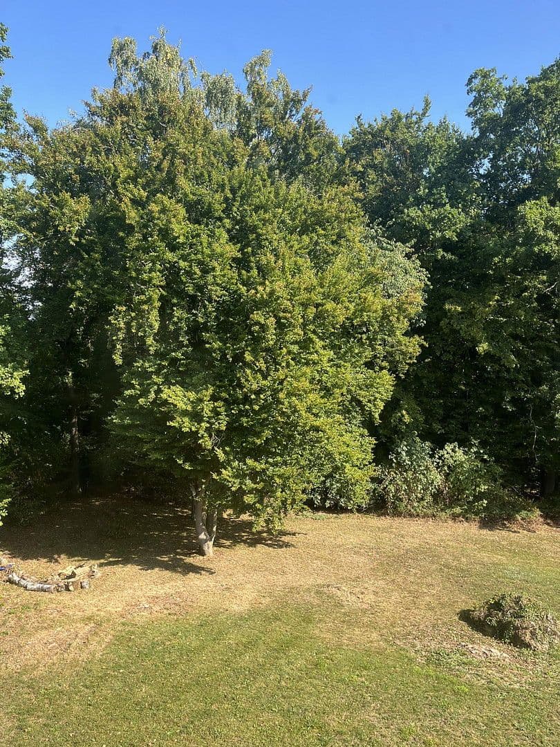 Predaj domu 245 m², pozemek 1.770 m², Nittendorf, Bavorsko Predaj domu 245 m², pozemek 1.770 m², Nittendorf, Bavorsko