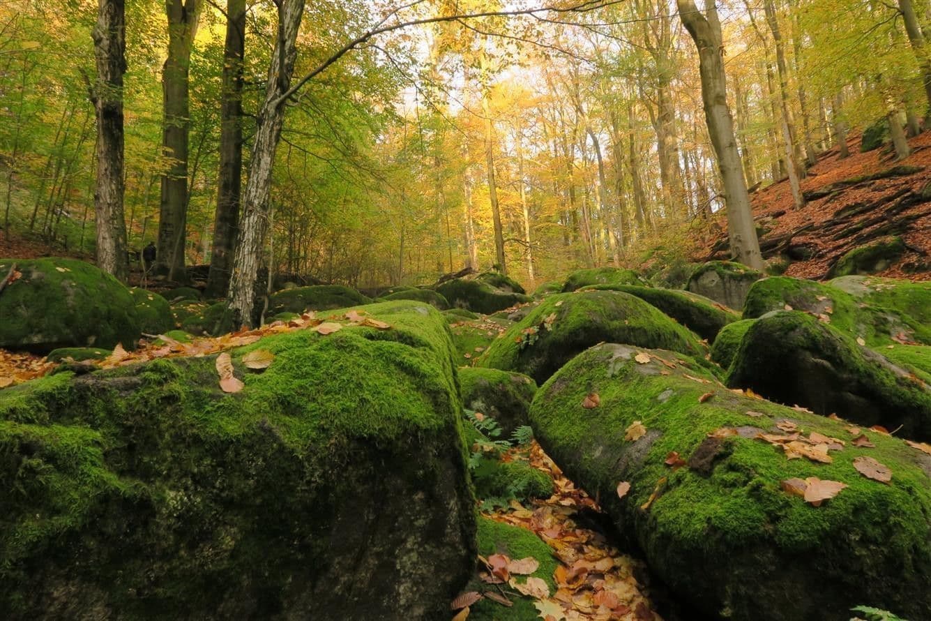 Prenájom domu 200 m², pozemek 200 m², Tyršova, Jílové u Prahy, Středočeský kraj Prenájom domu 200 m², pozemek 200 m², Tyršova, Jílové u Prahy, Středočeský kraj