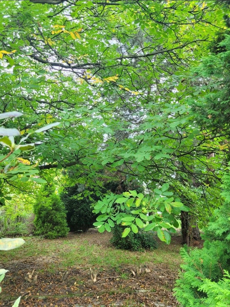 Predaj domu 160 m², pozemek 1.071 m², Do Polí, Dolní Lutyně, Moravskoslezský kraj Predaj domu 160 m², pozemek 1.071 m², Do Polí, Dolní Lutyně, Moravskoslezský kraj