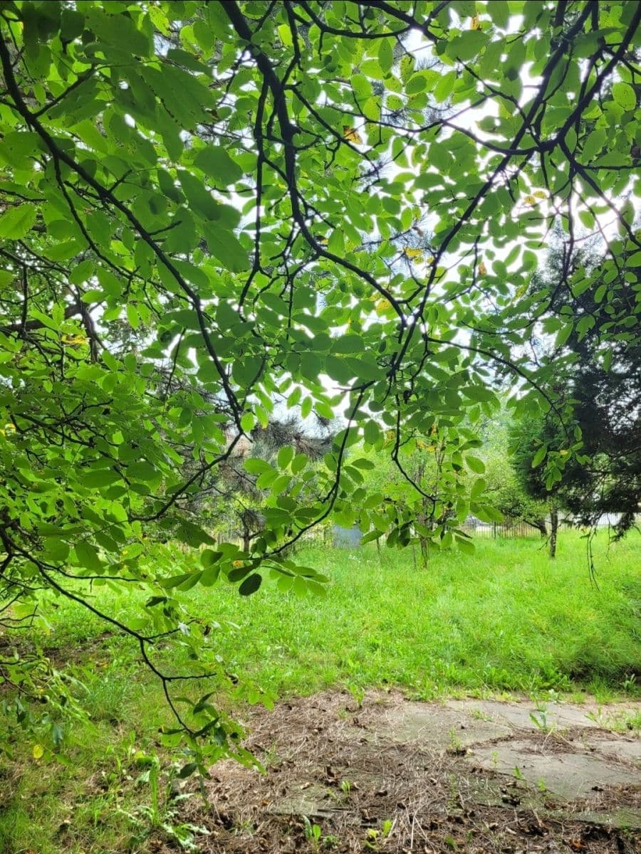 Predaj domu 160 m², pozemek 1.071 m², Do Polí, Dolní Lutyně, Moravskoslezský kraj Predaj domu 160 m², pozemek 1.071 m², Do Polí, Dolní Lutyně, Moravskoslezský kraj