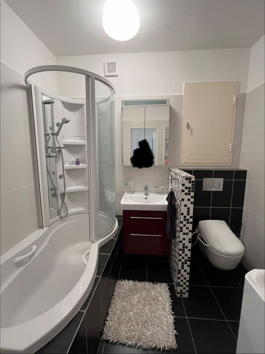 Prenájom bytu 1-izbový 43 m², Březnická, Zlín, Zlínský kraj Prenájom bytu 1-izbový 43 m², Březnická, Zlín, Zlínský kraj