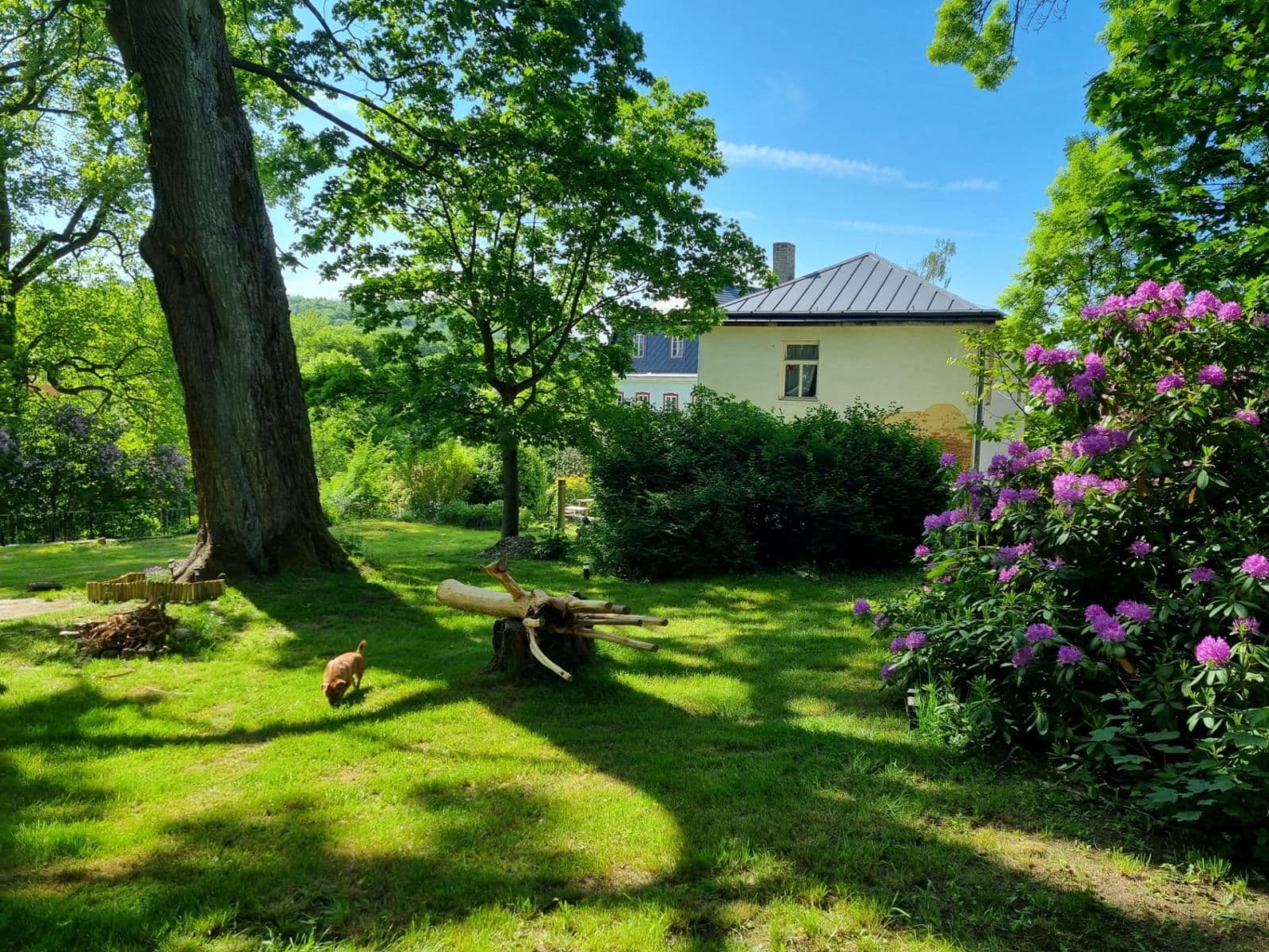 Predaj domu 154 m², pozemek 761 m², Osvobození, Kamenický Šenov, Liberecký kraj Predaj domu 154 m², pozemek 761 m², Osvobození, Kamenický Šenov, Liberecký kraj