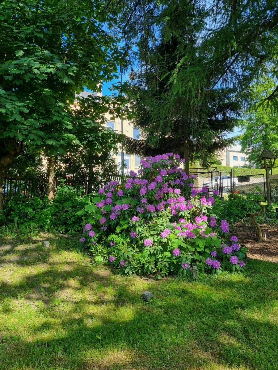 Predaj domu 154 m², pozemek 761 m², Osvobození, Kamenický Šenov, Liberecký kraj Predaj domu 154 m², pozemek 761 m², Osvobození, Kamenický Šenov, Liberecký kraj