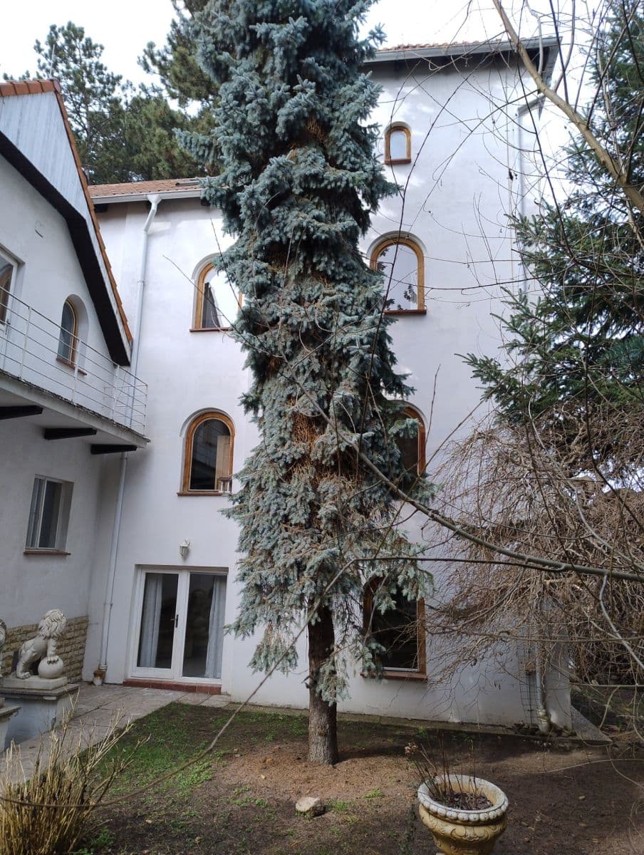 Predaj domu 513 m², pozemek 1.021 m², V Borovičkách, Praha, Praha Predaj domu 513 m², pozemek 1.021 m², V Borovičkách, Praha, Praha