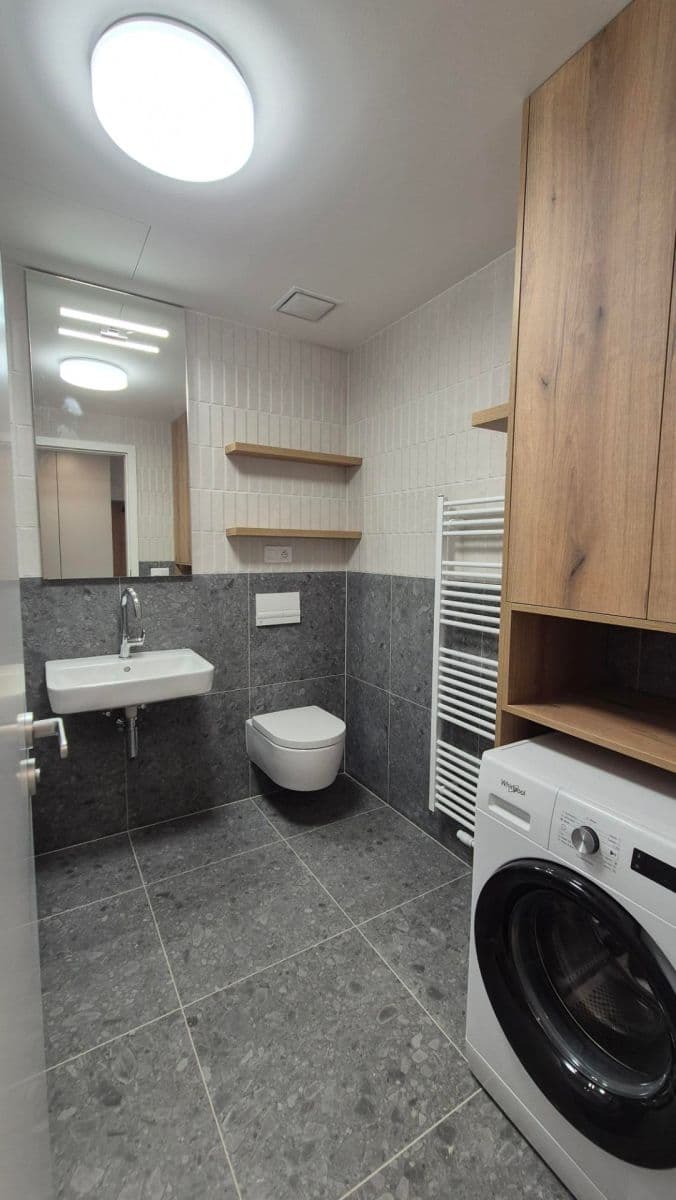 Prenájom bytu 1-izbový 43 m², Bratislavská, Brno, Jihomoravský kraj Prenájom bytu 1-izbový 43 m², Bratislavská, Brno, Jihomoravský kraj