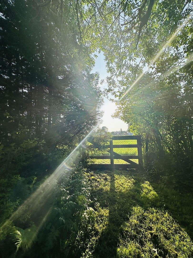 Predaj domu 85 m², pozemek 680 m², Halblech, Bavorsko Predaj domu 85 m², pozemek 680 m², Halblech, Bavorsko