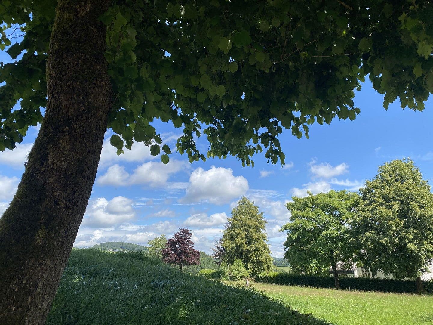 Prenájom bytu 2-izbový 57 m², Delleweg 21, Winterberg, Severné Porýnie - Westfálsko Prenájom bytu 2-izbový 57 m², Delleweg 21, Winterberg, Severné Porýnie - Westfálsko