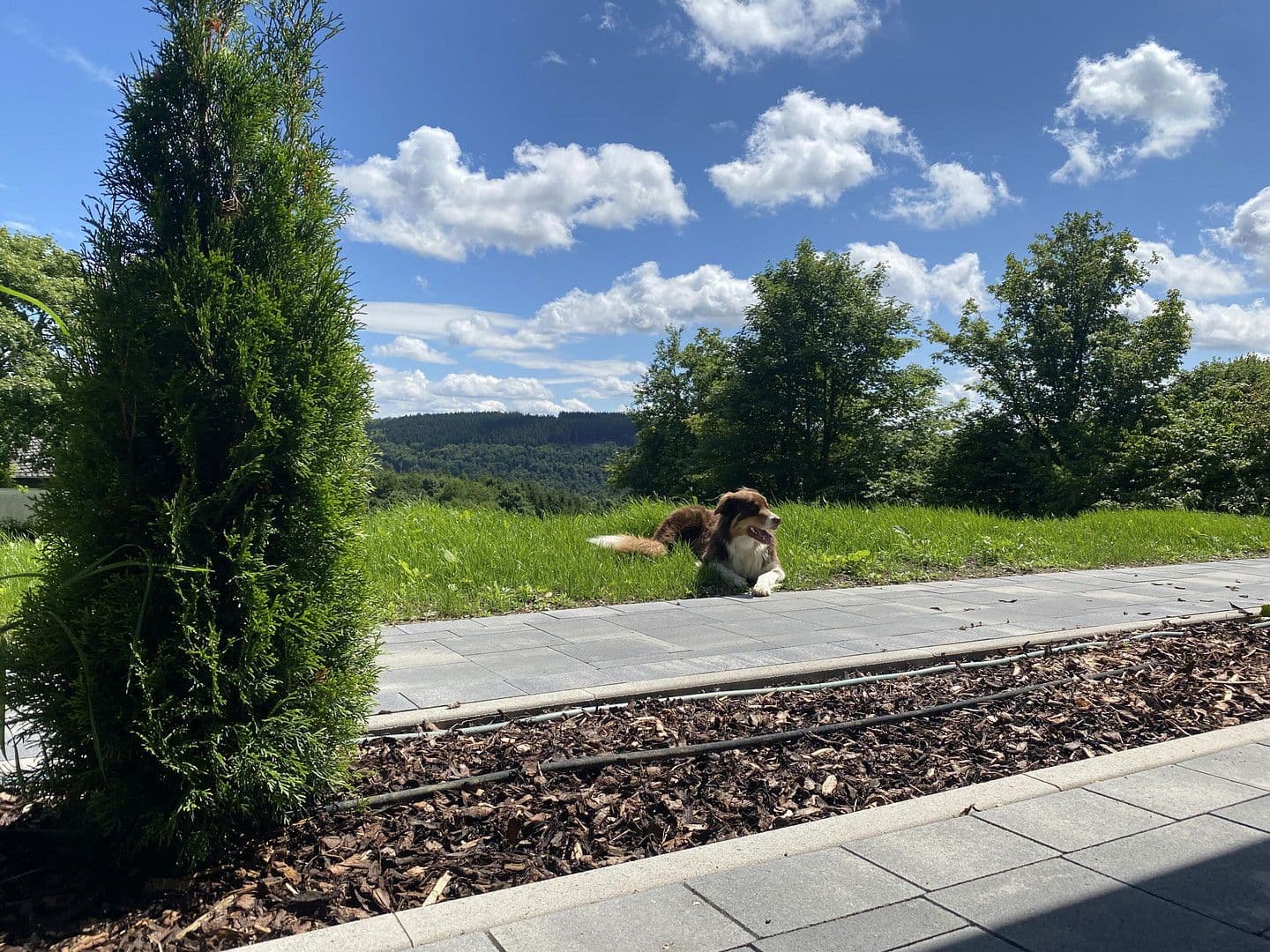 Prenájom bytu 2-izbový 57 m², Delleweg 21, Winterberg, Severné Porýnie - Westfálsko Prenájom bytu 2-izbový 57 m², Delleweg 21, Winterberg, Severné Porýnie - Westfálsko