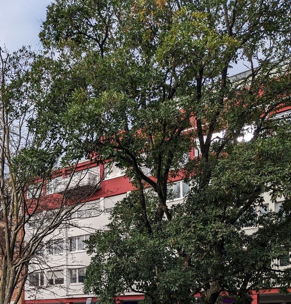 Predaj bytu 4-izbový 99 m², Heidelberg, Bádensko-Wurttembersko Predaj bytu 4-izbový 99 m², Heidelberg, Bádensko-Wurttembersko