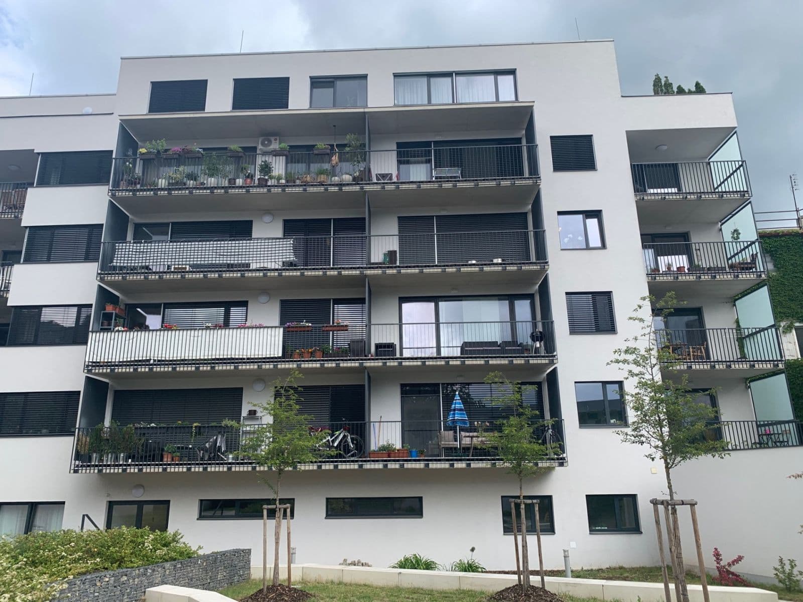 Prenájom bytu 3-izbový 75 m², Kollárova, Brno, Jihomoravský kraj Prenájom bytu 3-izbový 75 m², Kollárova, Brno, Jihomoravský kraj