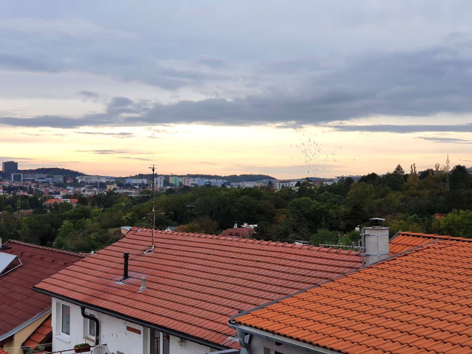 Prenájom bytu 1-izbový 24 m², Kosatcová, Brno, Jihomoravský kraj Prenájom bytu 1-izbový 24 m², Kosatcová, Brno, Jihomoravský kraj