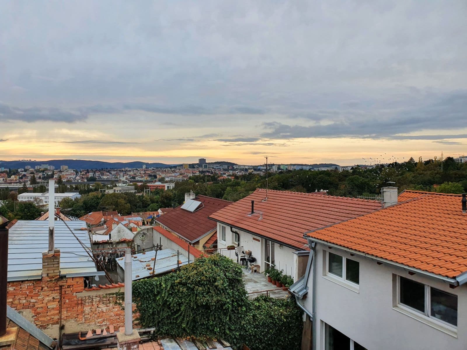 Prenájom bytu 1-izbový 24 m², Kosatcová, Brno, Jihomoravský kraj Prenájom bytu 1-izbový 24 m², Kosatcová, Brno, Jihomoravský kraj