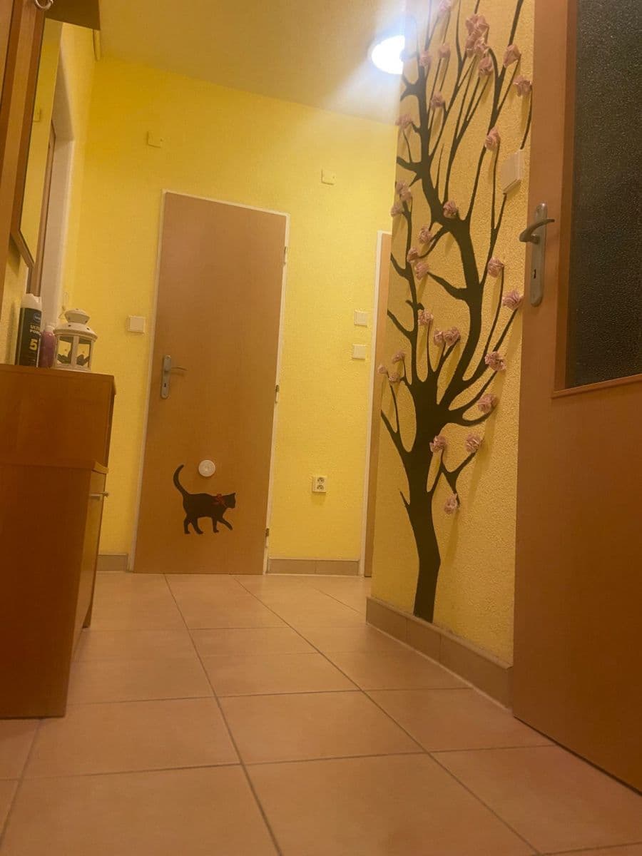 Prenájom bytu 1-izbový 38 m², Haškova, Opava, Moravskoslezský kraj Prenájom bytu 1-izbový 38 m², Haškova, Opava, Moravskoslezský kraj