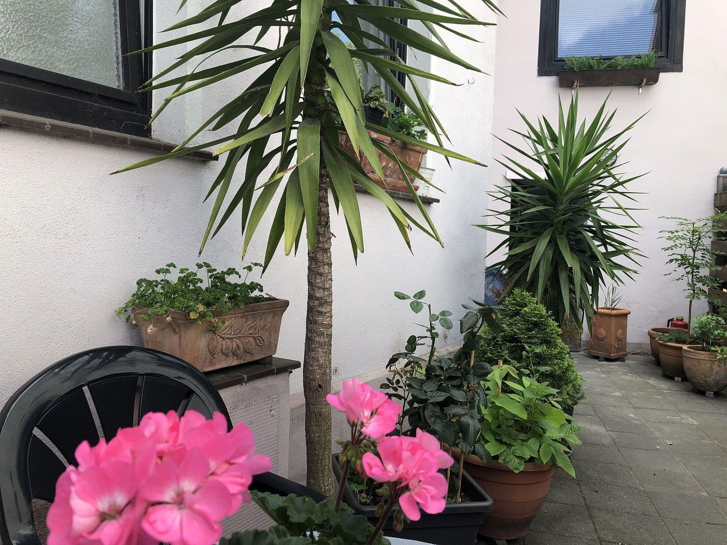 Prenájom bytu 1-izbový 25 m², Braunschweig, Dolné Sasko Prenájom bytu 1-izbový 25 m², Braunschweig, Dolné Sasko