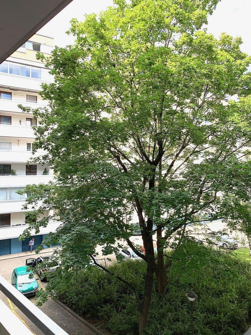 Prenájom bytu 1-izbový 40 m², Universumstrasse, Wien, 20. Bezirk, Brigittenau, Viedeň Prenájom bytu 1-izbový 40 m², Universumstrasse, Wien, 20. Bezirk, Brigittenau, Viedeň