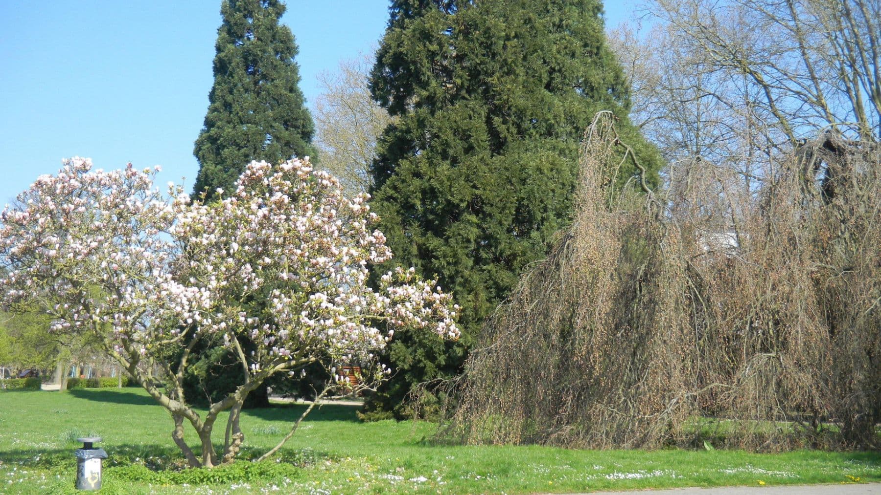 Prenájom bytu 2-izbový 80 m², Saarbrücken, Sársko Prenájom bytu 2-izbový 80 m², Saarbrücken, Sársko